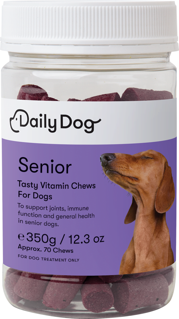 Senior Daily Dog