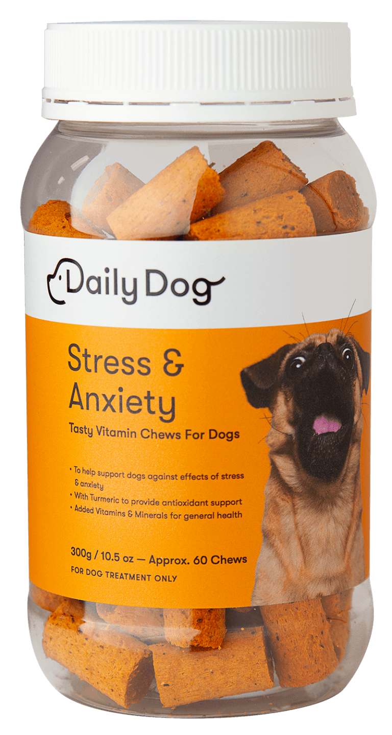 stress-anxiety-daily-dog