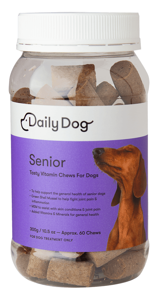 Senior - Daily Dog