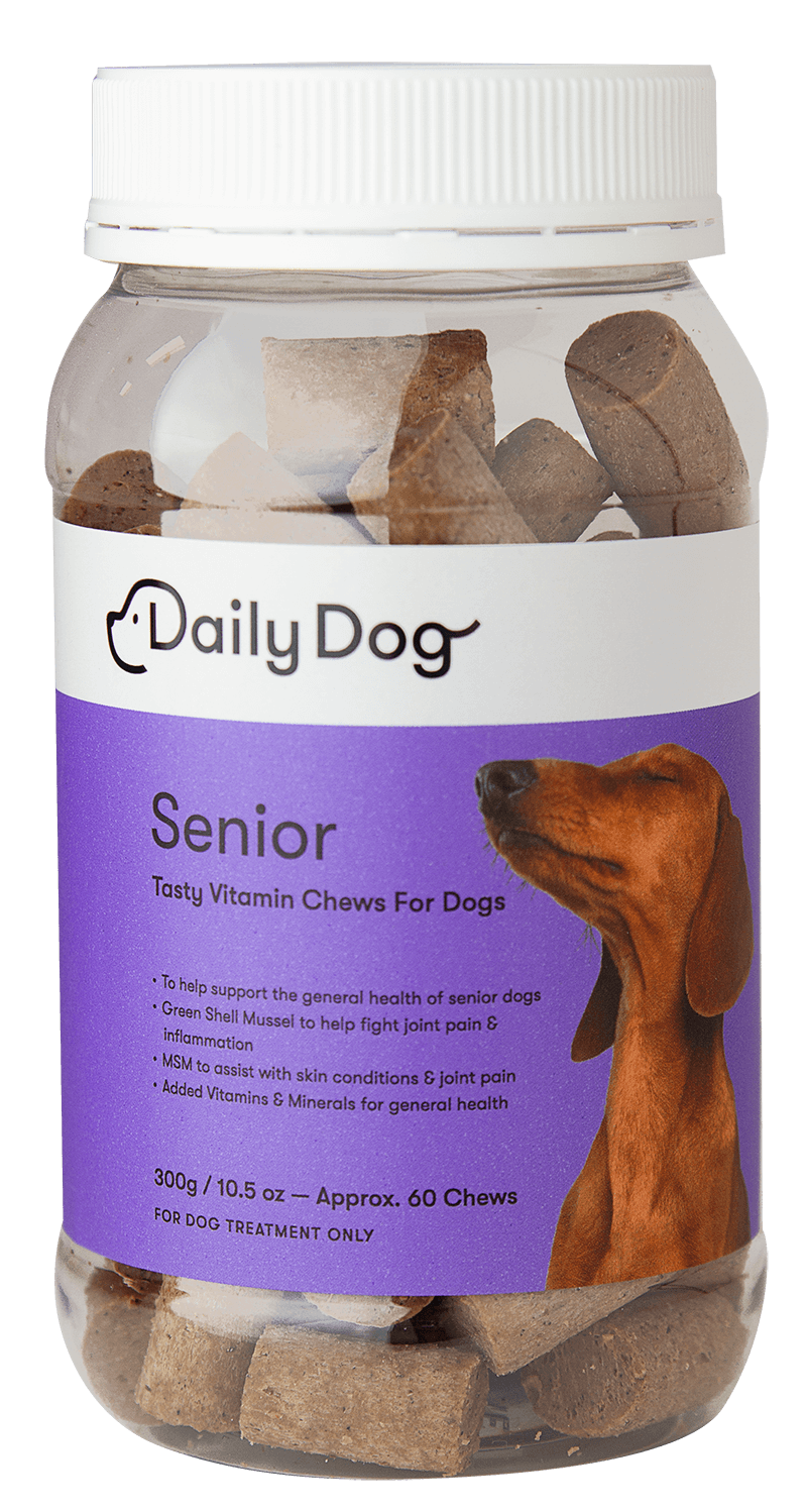 senior dog vitamins